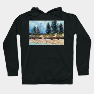 Storm brewing - Lake Cathie Beach Hoodie